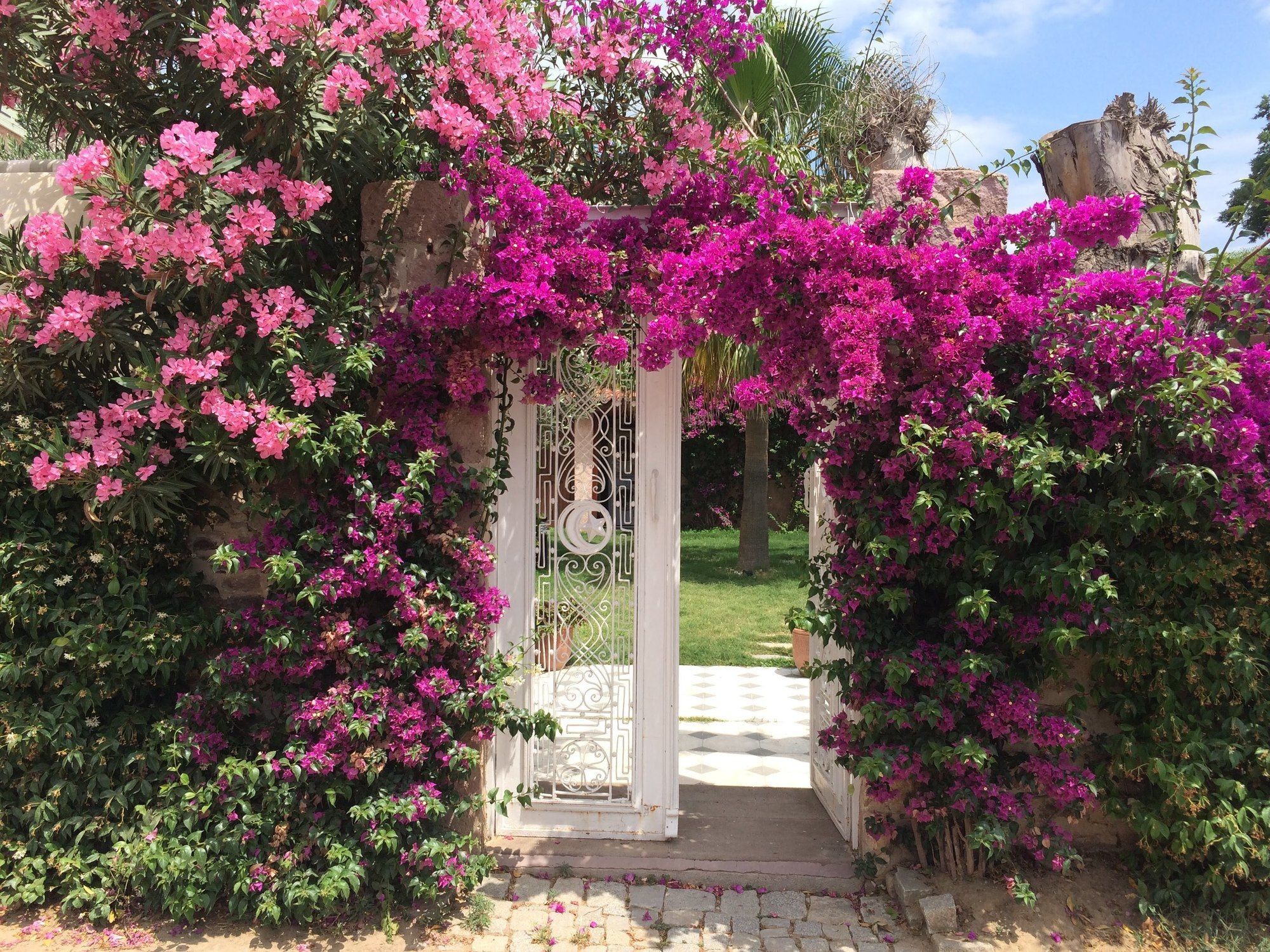 Cunda Has Konak Butik Otel Ayvalı Dış mekan fotoğraf